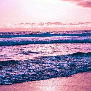 Meet your Posher, Callie